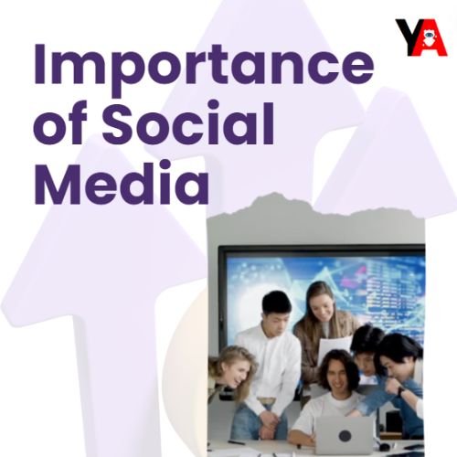 importance of social media