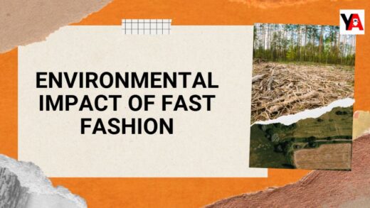 environmental impact of fast fashion