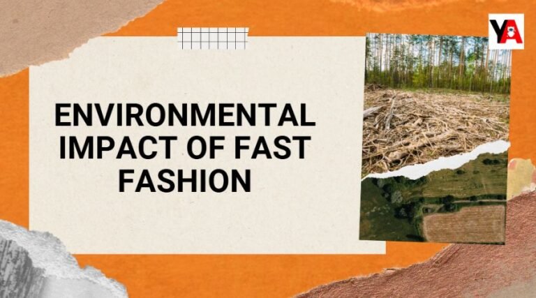 environmental impact of fast fashion